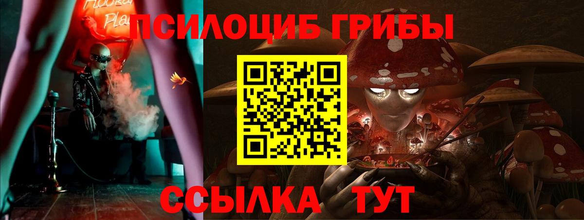 Галлюциногенные грибы Magic Shrooms  купить   Мыски  Вход с VPN 
